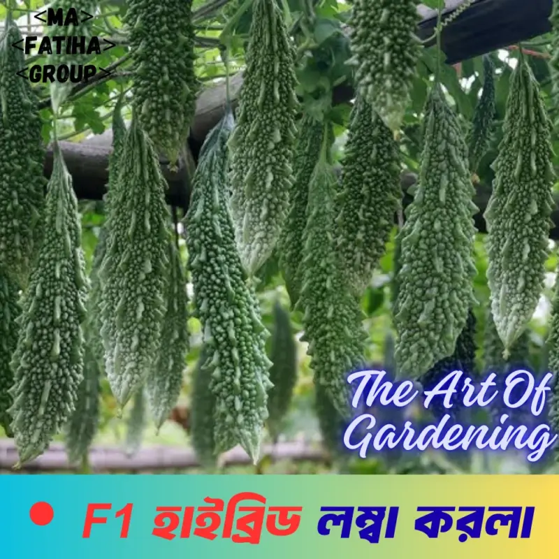 F1 হাইব্রিড লম্বা করলা বীজ ১০ গ্রামের ইন্টেক প্যাকেট