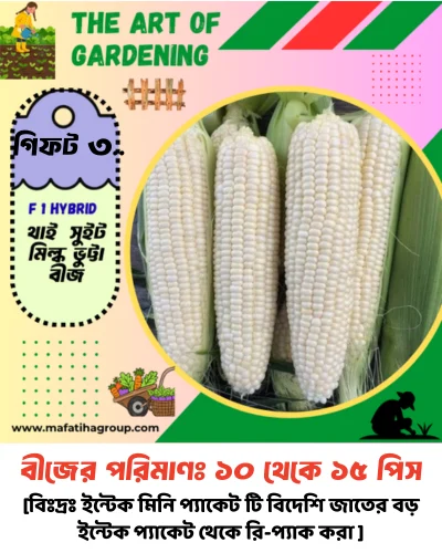 ৭ ধরনের মরিচ বীজের কম্বো + ৫ ধরনের আনকমন জাতের বীজ গিফট - Image 11