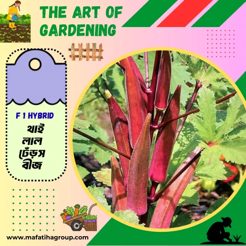 থাই F1 হাইব্রিড জাতের লাল ঢেঁড়স বীজ এর ইন্টেক প্যাকেট