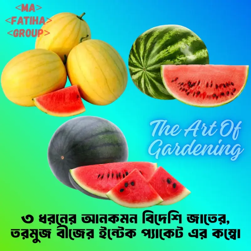 ৩ ধরনের থাই ও ভিয়েতনামিজ জাতের F 1 Hybrid তরমুজ বীজ এর ইন্টেক প্যাকেট এর কম্বো
